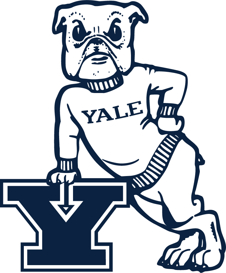 Yale Bulldogs 2019-Pres Secondary Logo diy DTF decal sticker